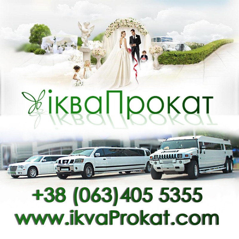 Коментар. Давід