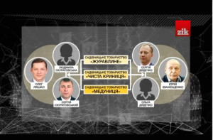 Коментар. воля