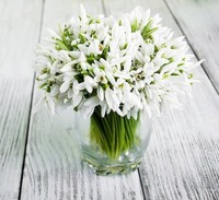 Коментар. Дмитрий*KIEV*