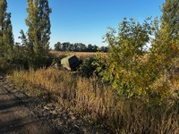 СТО Далекобійник